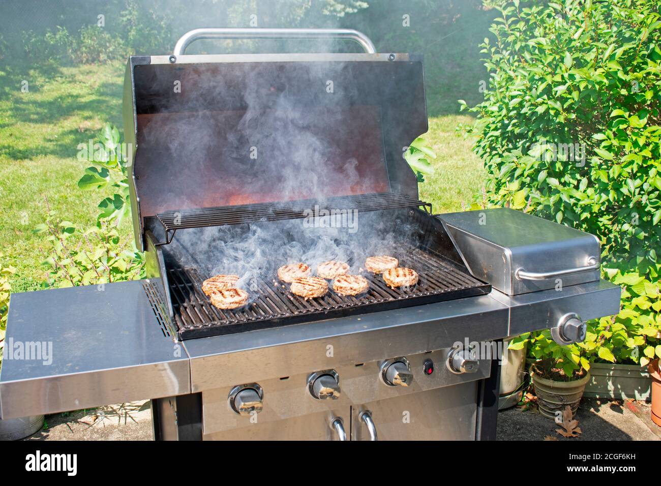 Grigliate di carne deliziosa in una griglia con barbecue fumé una bella giornata estiva -13 Foto Stock