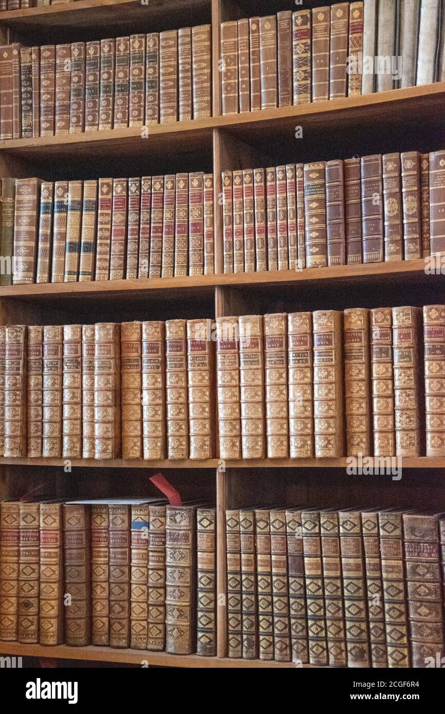 I libri sono ospesi nella Biblioteca Nazionale austriaca (in tedesco: Österreichische Nationalbibliothek), Vienna, Austria. Foto Stock