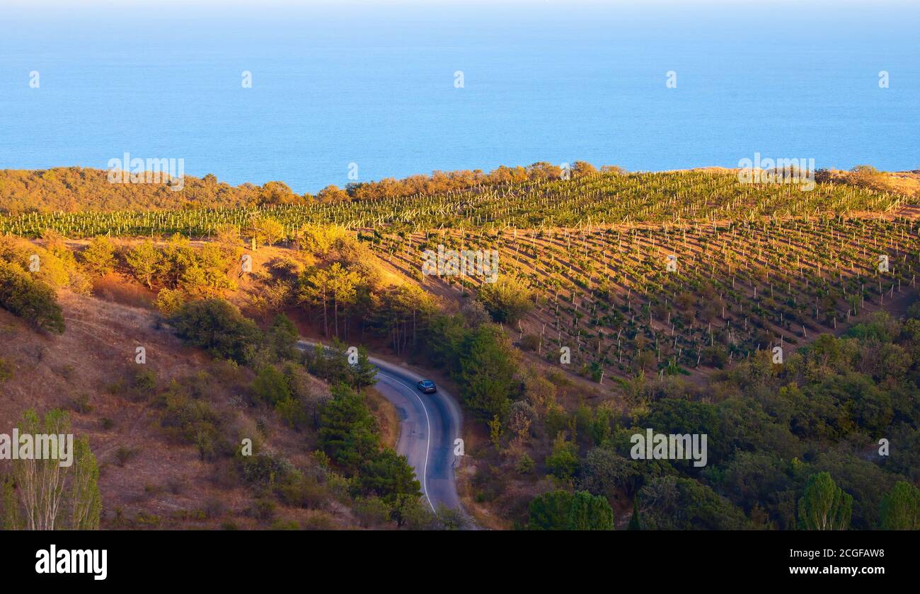 Il paesaggio naturale dei vigneti, della strada e del mare. Il concetto di turismo. Foto di alta qualità Foto Stock