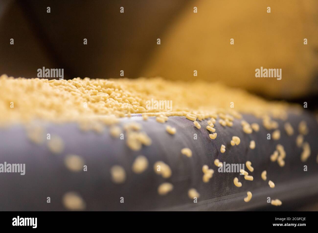 Produzione di pasta trasportatore automatico, essiccazione e insaccatura in vendita Foto Stock