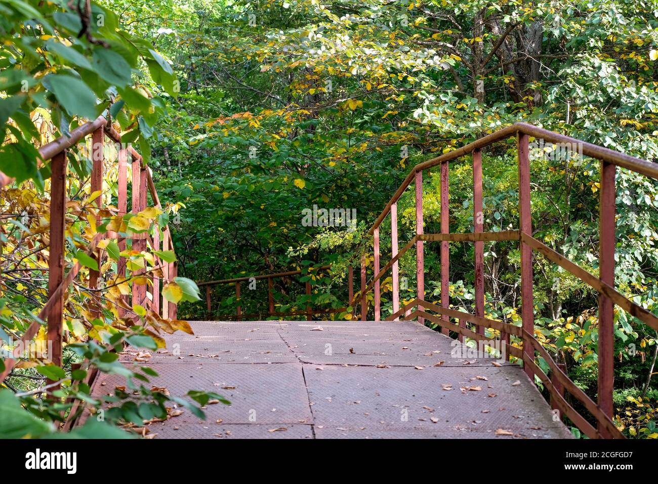 Ponte di ferro su un ruscello nella foresta. Gli alberi crescono intorno. Passeggiata nella foresta, nessuna gente. Foto Stock