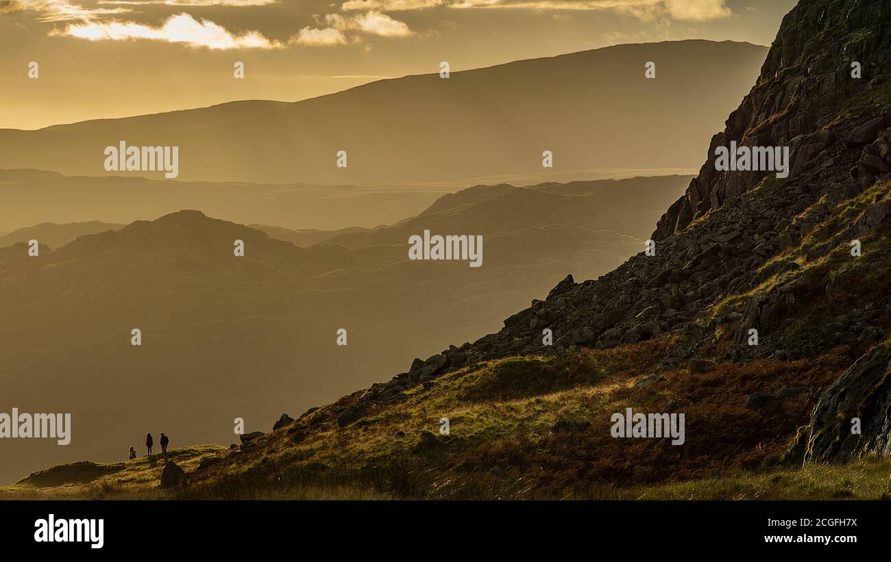 Un gruppo di escursionisti si contornano di un giallo paglierino Sfondo di Lakeland Fells vicino alla valle di Eskdale Foto Stock