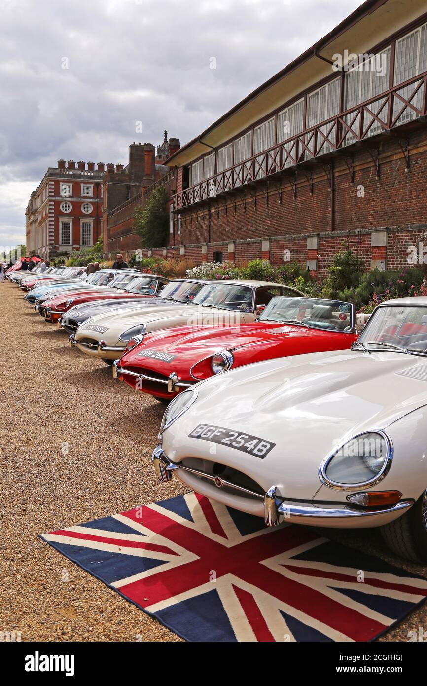 Jaguar e-Types, Car Club Displays, Concours of Elegance 2020, Hampton Court Palace, Londra, Regno Unito, Europa Foto Stock