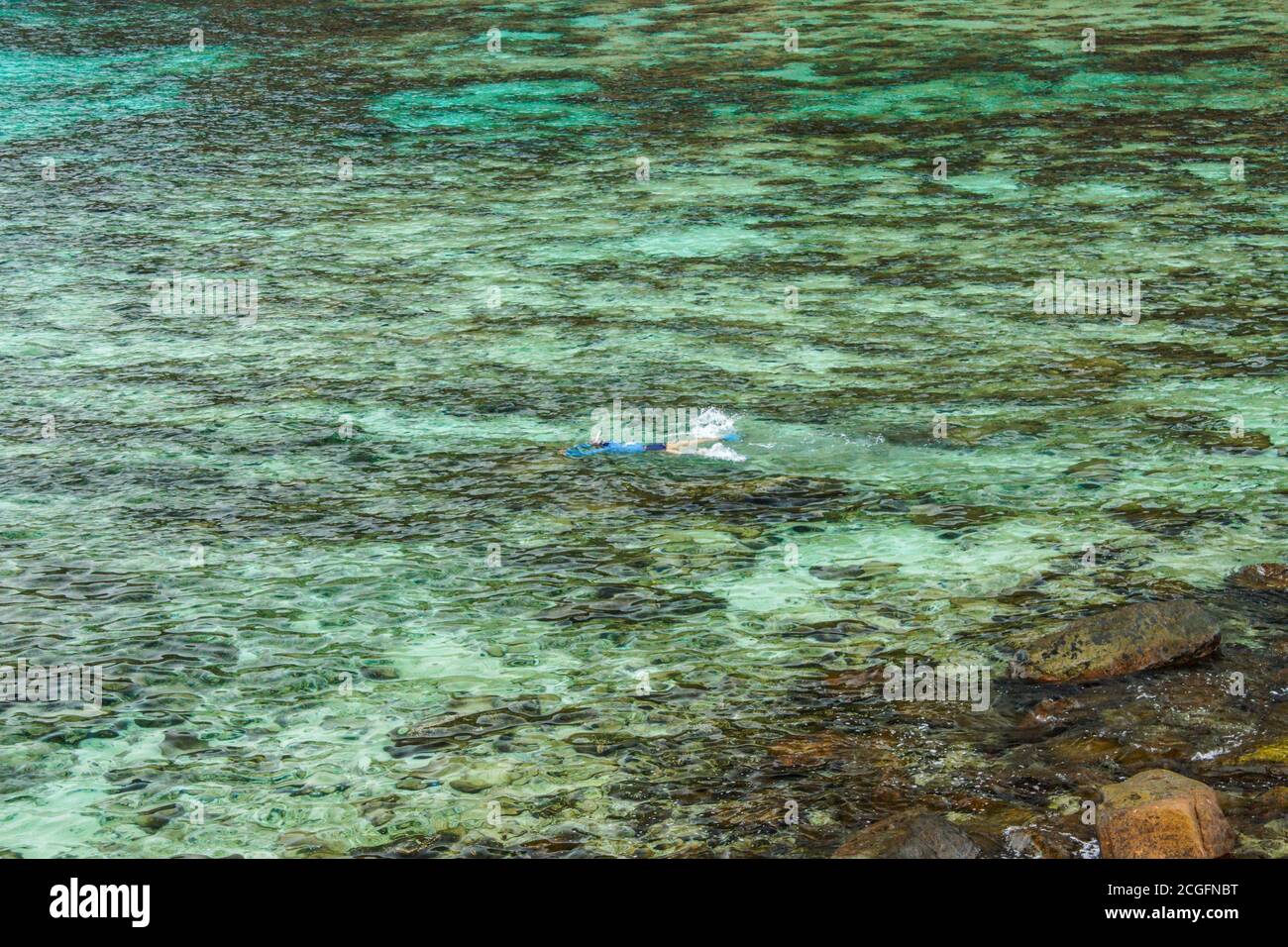 Un praticante dello snorkeling che si diverti nelle splendide acque cristalline La costa di un'isola tropicale in Malesia Foto Stock