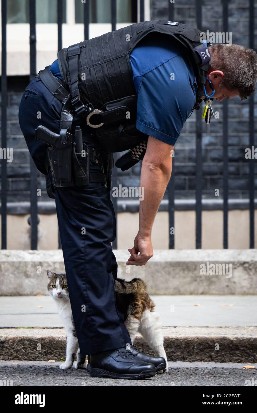 Un poliziotto accetta Larry il gatto a Downing Street, Londra. Foto Stock