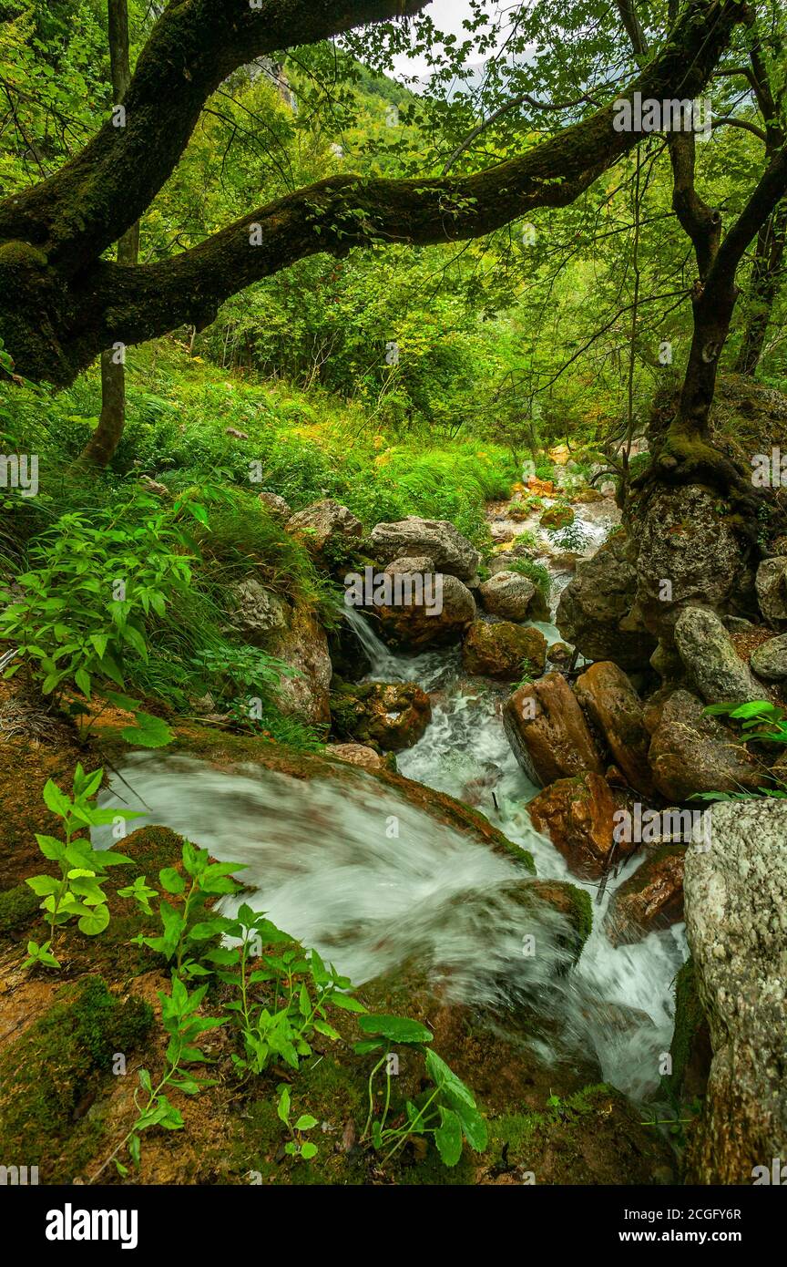 Riserva Naturale Regionale dello Zompo lo Schioppo, Abruzzo Foto Stock