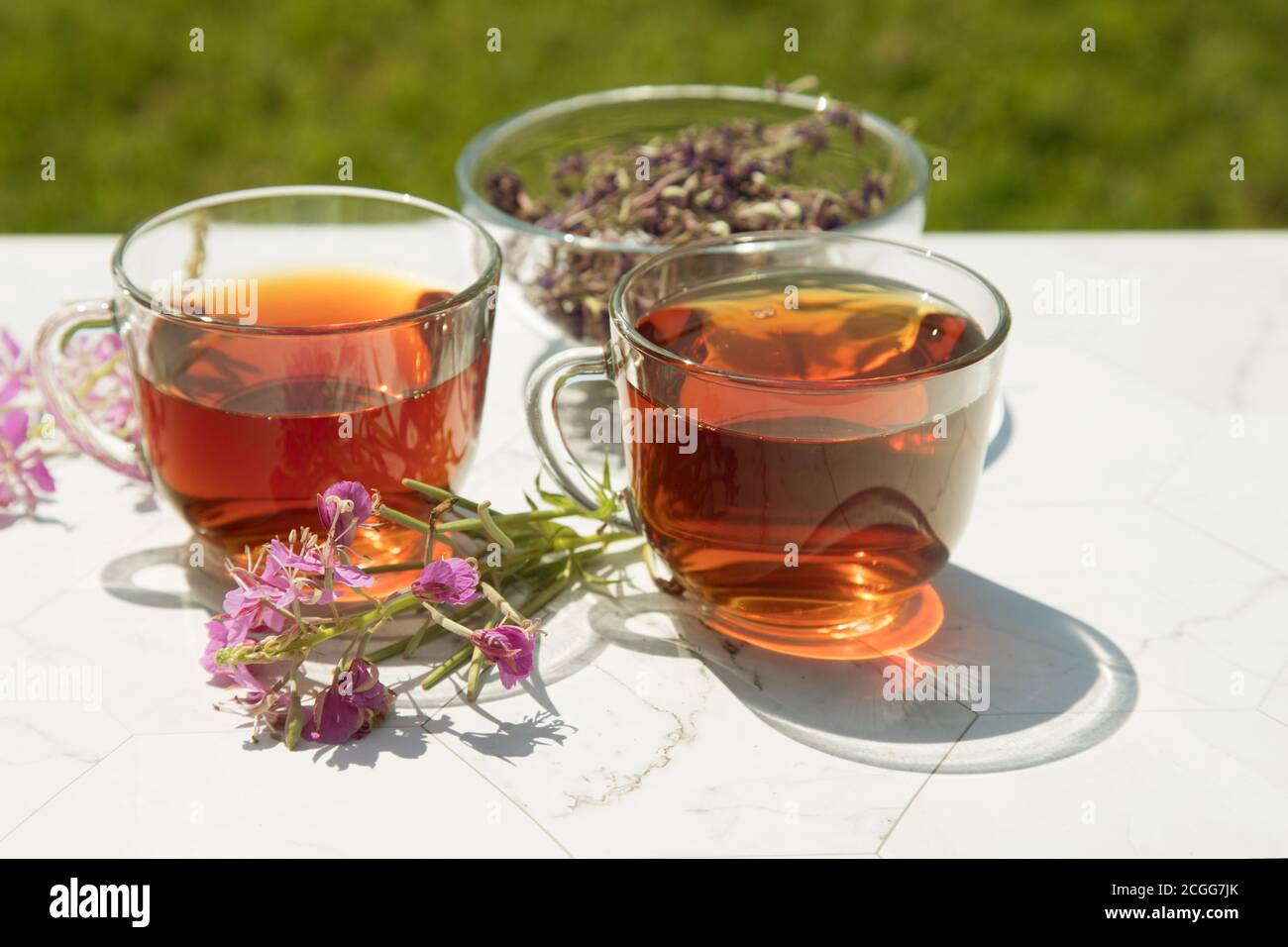 Chamaenerion Angustifolium tè (cipresso, salice rosa, Ivan-tea) con fiori secchi e freschi per la decorazione in due tazze di vetro su uno sfondo chiaro, dri Foto Stock