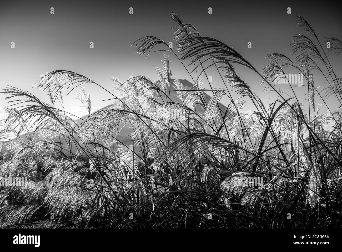 Il monte Fuji, Giappone Foto Stock
