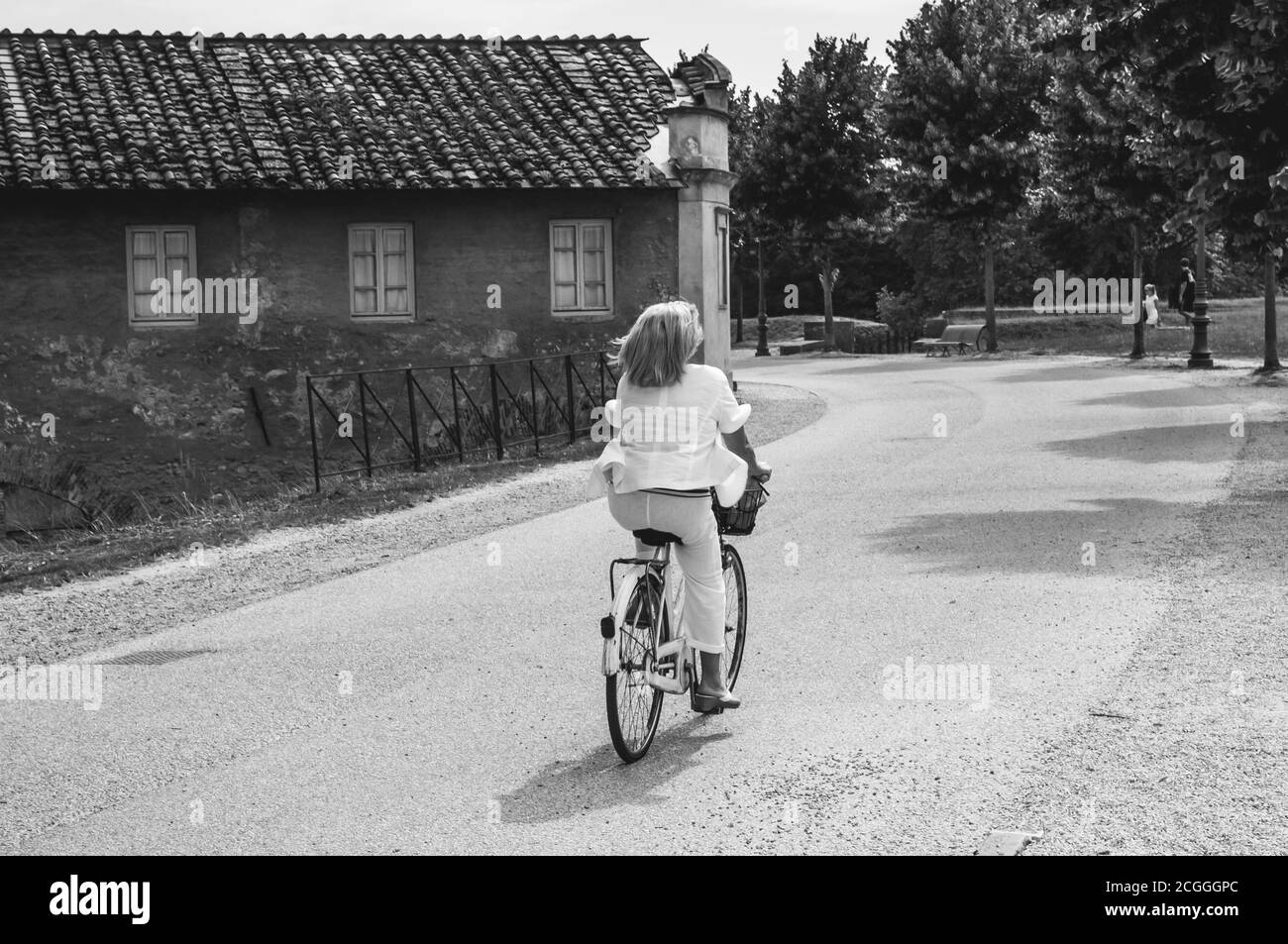 Cavalcare sulla strada di Lucca Foto Stock