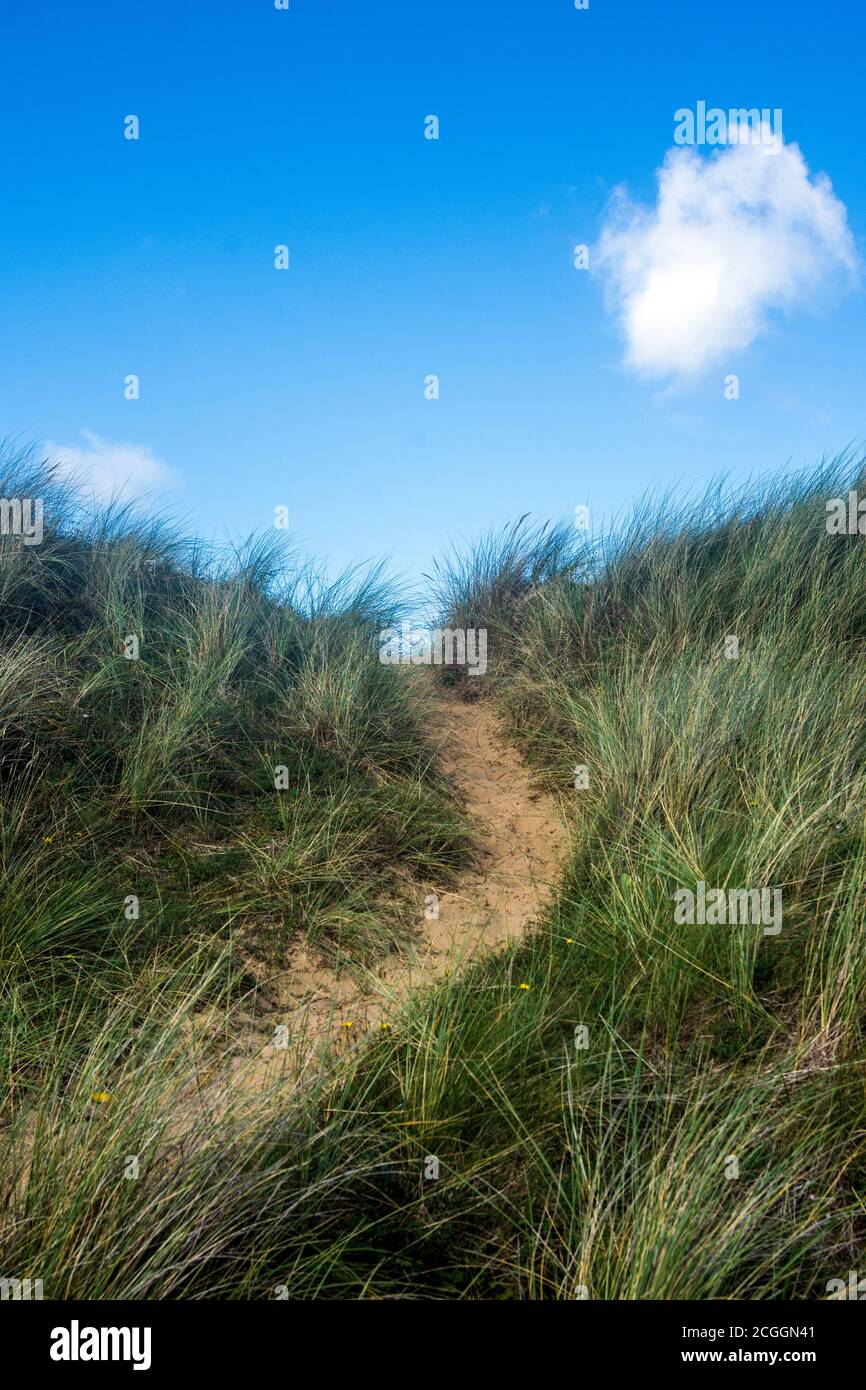 Un sentiero nelle dune di sabbia di Ainsdale Beach, Merseyside, Regno Unito. Foto Stock