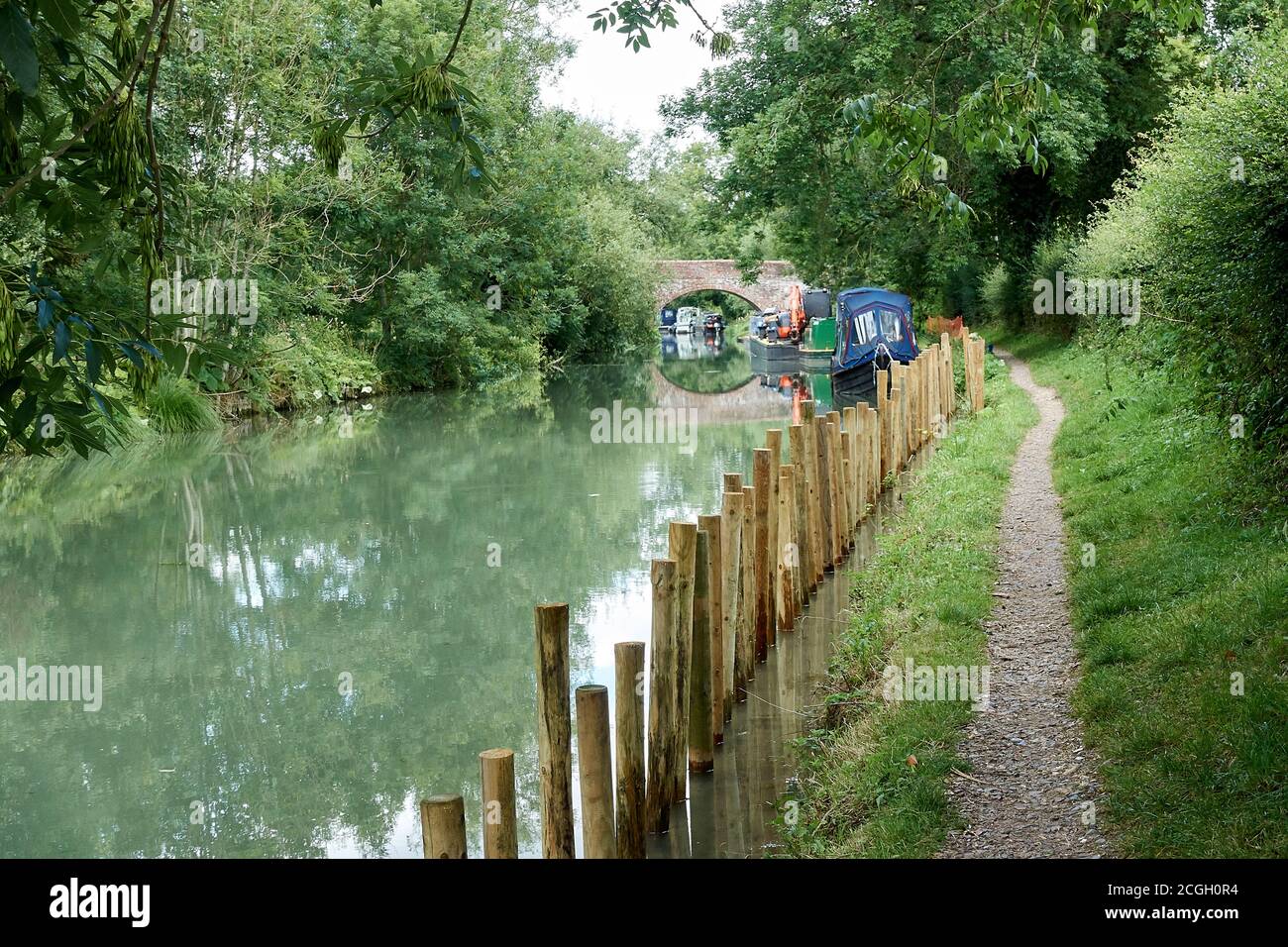Una vista sul canale Kennett e Avon, pali di legno aiutano a tenere il lato del canale collassante in posizione - l'Inghilterra rurale Foto Stock