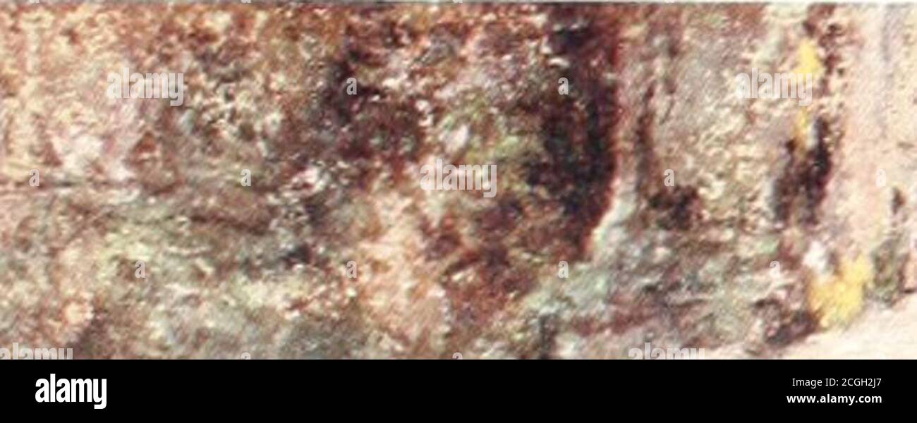 . Giardini scozzesi; essendo una selezione rappresentativa di diversi tipi, vecchi e nuovi. Dopo essere stati sistemati nelle loro placesche guidano le loro radici a distanzamento quasi incredibile nella terra solida dietro il muro, che protegge allo stesso modo dalla siccità estiva e provando le varietazioni di temperatura in inverno, mentre la superficie verticale assicura rapido drenaggio e protezione fromfrost. Il bordo stretto alla parete-piede fornisce la sede acongenial per la scelta bulbous ed altre piante, che, se attentamente selezionato, può mantenere su un'esposizione con-tinuous quasi durante l'anno. Lelenco di adatti Foto Stock