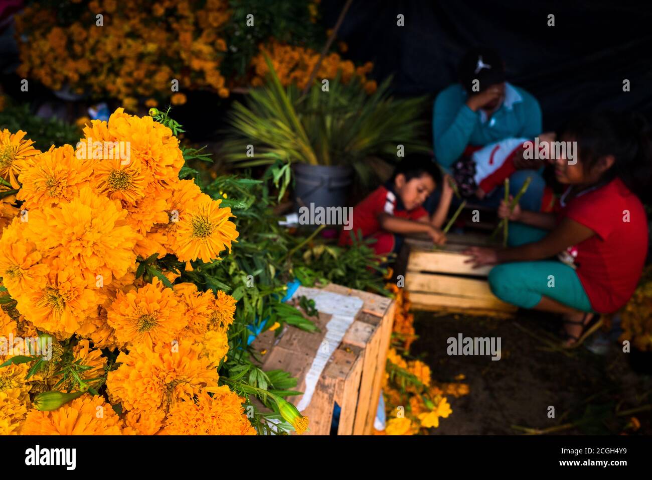 Un venditore di fiori messicano, circondato dai suoi figli, vende pile di fiori di marigoli per il giorno dei morti festeggiamenti a Oaxaca, Messico. Foto Stock