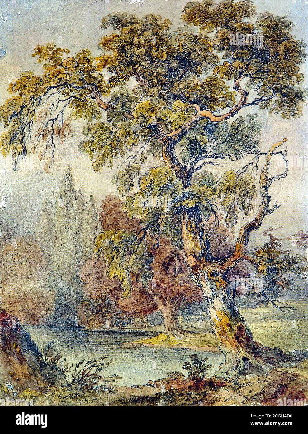 Ruskin John - alberi e stagno Ruskin - British School - 19 ° secolo Foto Stock