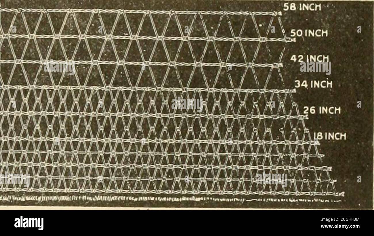 . Sviluppo agricolo; un libro introduttivo in agricoltura, che comprende una discussione sui terreni, la selezione e la pianificazione delle aziende agricole, la sottomultura dei campi, il drenaggio, l'irrigazione, le strade, le recinzioni, insieme a capitoli introduttivi riguardanti l'attività agricola, e le relazioni tra la scienza generale e l'agricoltura. LytUWUknikyeig panca strutturata, e portare i montanti a una profondità di 2 o 25^ piedi. Specialmente dove la recinzione è temporanea è itworth mentre affilare i pali che possono thuseasily essere guidati quando sono impostati nella nuova posizione. Dove il palo non è affilato è importante che la terra)e ha manomesso molto saldamente Foto Stock