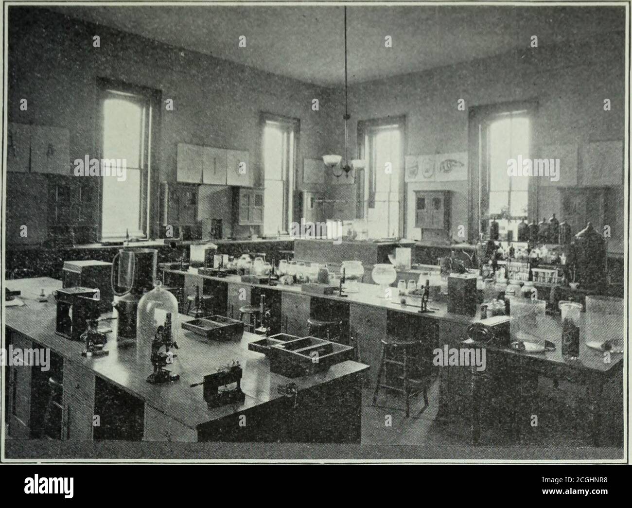 . Catalogo annuale della Scuola normale di Stato a Mankato, Minnesota . la dissezione di ogni tipo è seguita da uno studio sistematicalizzato del gruppo, e ogni studente è tenuto ad identificare due o più specie diverse. È necessario un notevole lavoro di riferimento, e ogni studente è come-firmato un tema speciale per l'indagine, su cui scrive una tesi.per quanto possibile i soggetti per queste tesi sono tali da ri-chiedere l'osservazione degli animali viventi. Ogni studente è tenuto a svolgere una certa quantità di lavoro sul campo. I principali testi-libri utilizzati sono Parker e ha pozzi Manuale, Needhams laboratorio G Foto Stock