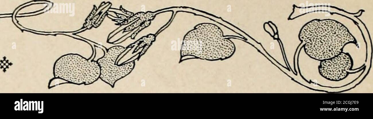 . La storia fotografica della guerra civile : migliaia di scene fotografate 1861-65, con testo di molte autorità speciali . -^ El)? ^r0U0Bt-iWarBl|al ••. Erano meno frequenti nel confederato che negli Stati Uniti.il presidente Davis non si è assunto il diritto di sospendere il writ ofhabeas corpus, e questo privilegio è stato concesso in modo pessimo dal Congresso confederato solo per periodi limitati e con limitazioni importanti. All'inizio, il maggior numero di arresti è stato madeunder quello che era noto come Alien Enemies Act. Thisact del Congresso confederato approvato dal Presidente, agosto Foto Stock