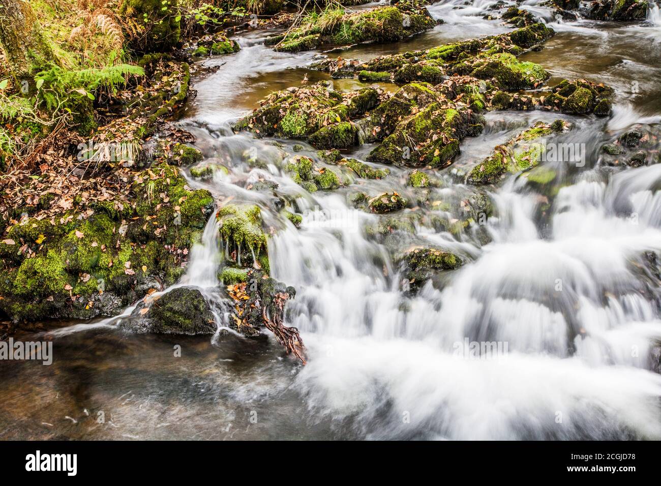 Una piccola cascata in un ruscello nel Distretto dei Laghi vicino Coniston Water. Foto Stock