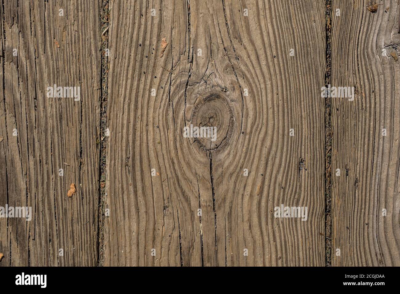 Intemperie e usurato fessurato e un nodo con texture di una sezione di una vecchia tavola di legno su un ponte closeup all'aperto per sfondi piani e. Foto Stock