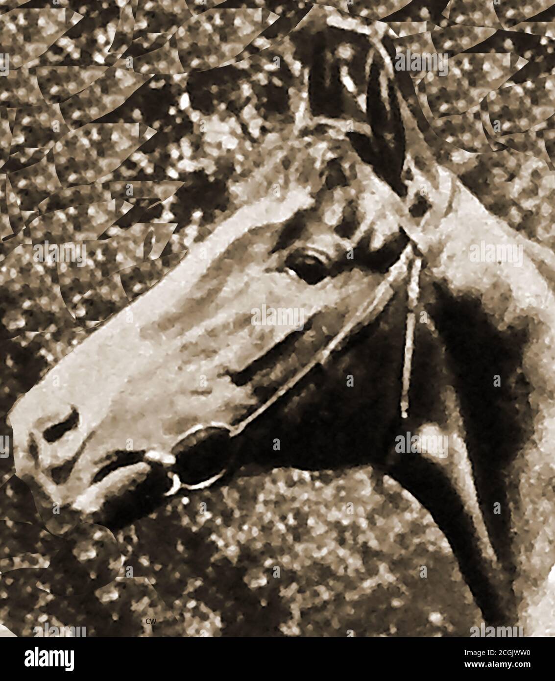 1921 Fotografia del tragico 1921 Derby vincitore UMORISTA, di proprietà di J.B. Joel. Humorist il cavallo da corsa purosangue. Finì terzo nel 2000 , 1921 Guineas prima di vincere l'Epsom Derby. Tragicamente meno di tre settimane dopo aver vinto il Derby, il cavallo morì nella sua stalla a causa di un'emorragia polmonare . Lo stallone di castagno è stato allevato e di proprietà di Jack Barnato Joel e addestrato da Charles Morton a Letcombe Bassett, Berkshire. Ha anche vinto il Woodcote Stakes nel 1920. Foto Stock