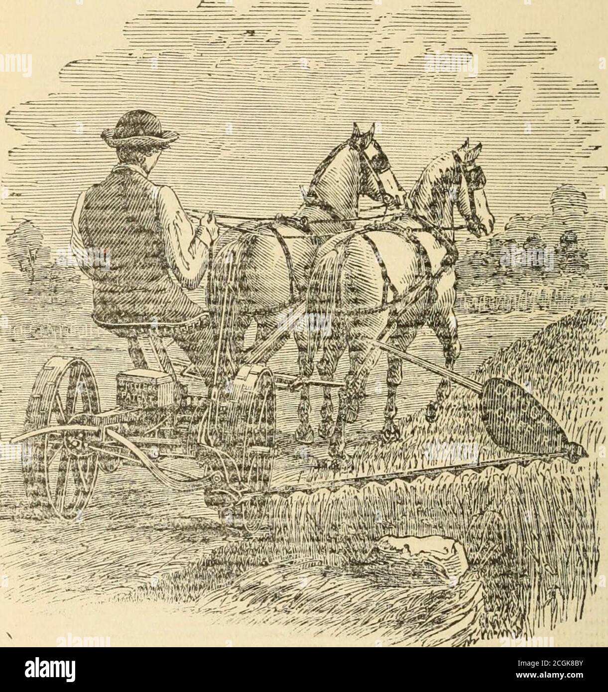 . Il giornale di Lieut. John L. Hardenbergh del secondo reggimento continentale di New York dal 1° maggio al 3 ottobre 1779, nella campagna del generale Sullivan contro gli Indiani occidentali. Fig. 67.- Cayuga Ohief, Jr.-falciatrice del 1861. Foto Stock