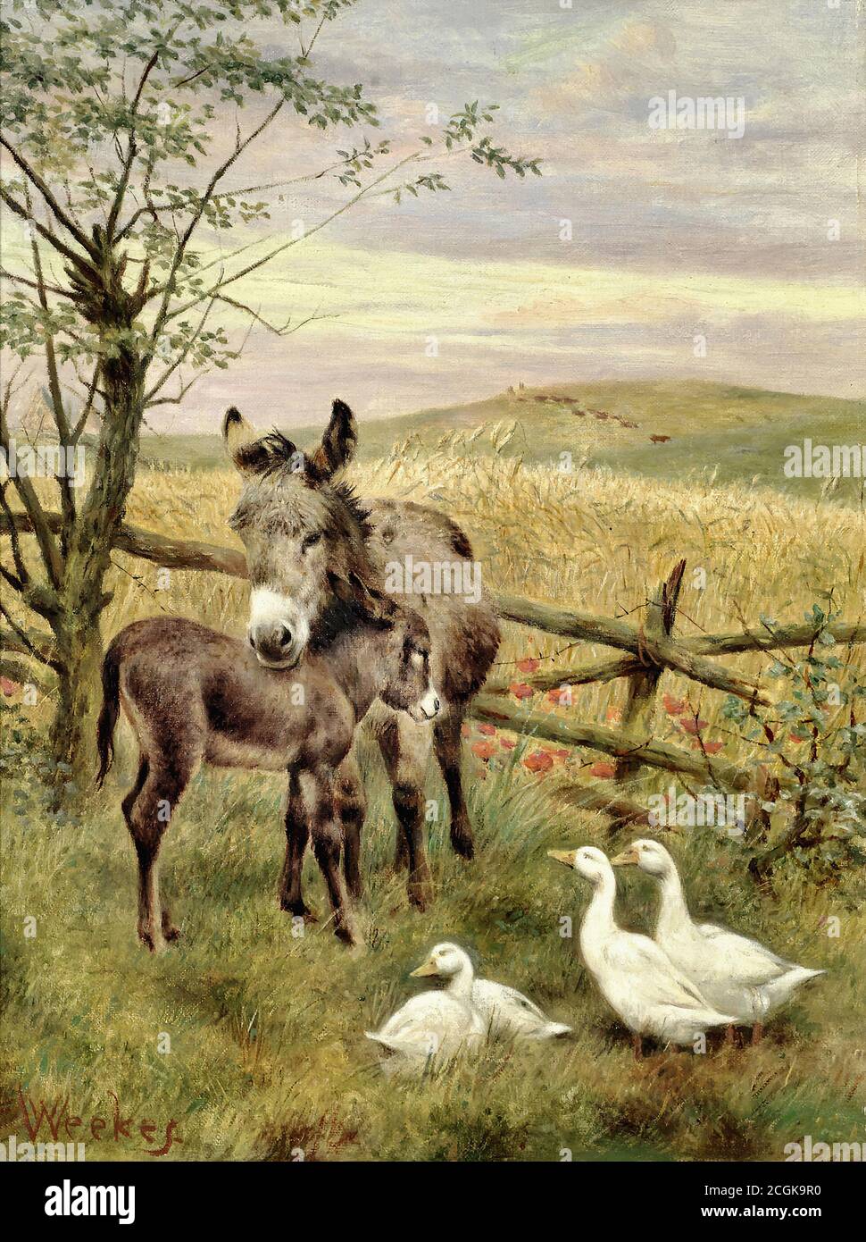 Weekes Herbert William - una madre orgogliosa - British School - 19 ° secolo Foto Stock