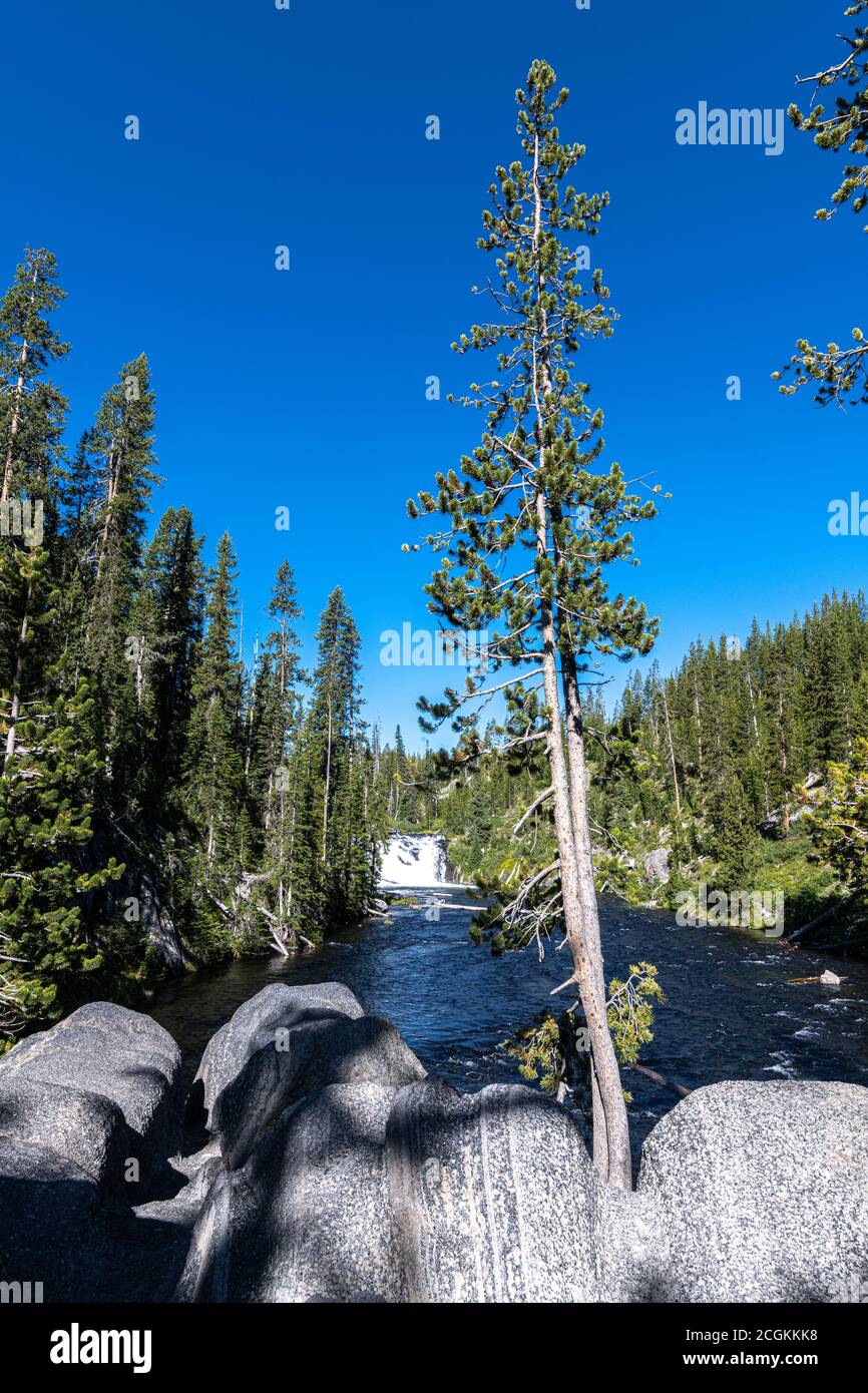 Lewis Falls, Parco Nazionale Di Yellowstone Foto Stock