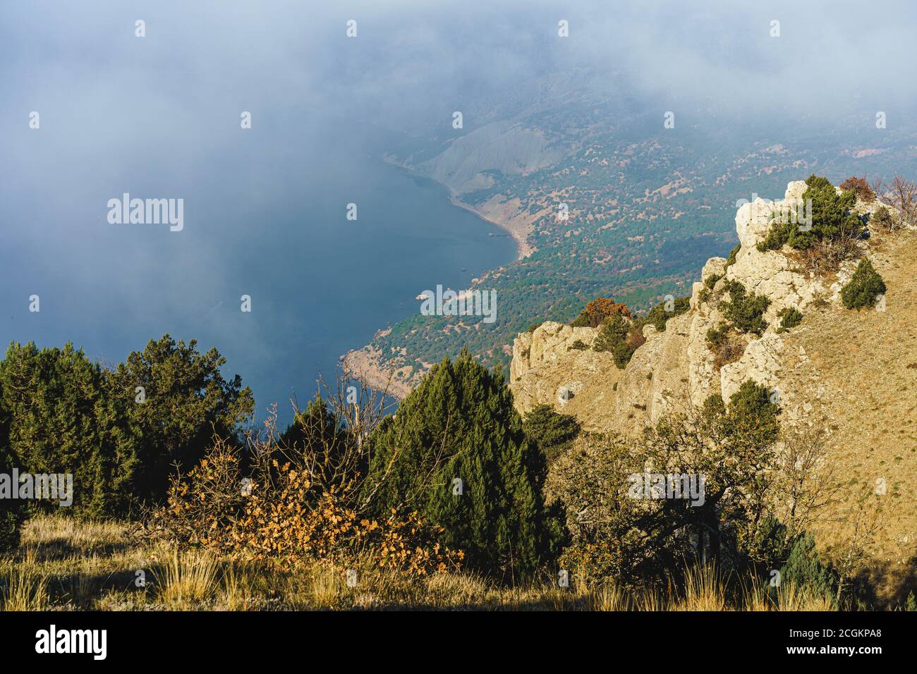 Bella montagna con foreste in mattina nebbia sfondo Foto Stock