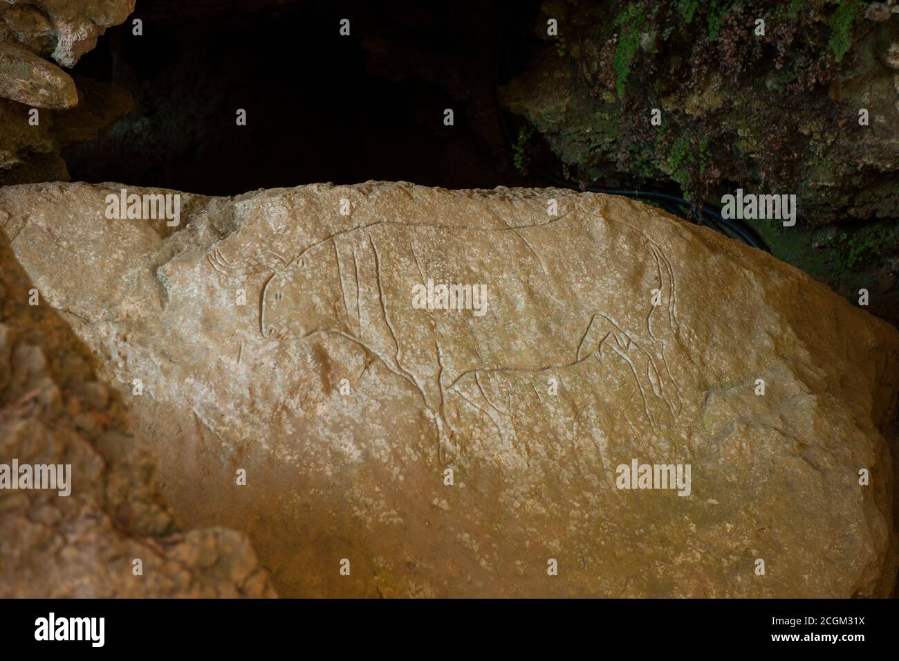 Parco Nazionale del Pollino: La grotta Romito è un sito che risale al Paleolitico superiore e contiene una delle più antiche testimonianze di arte preistorica Foto Stock
