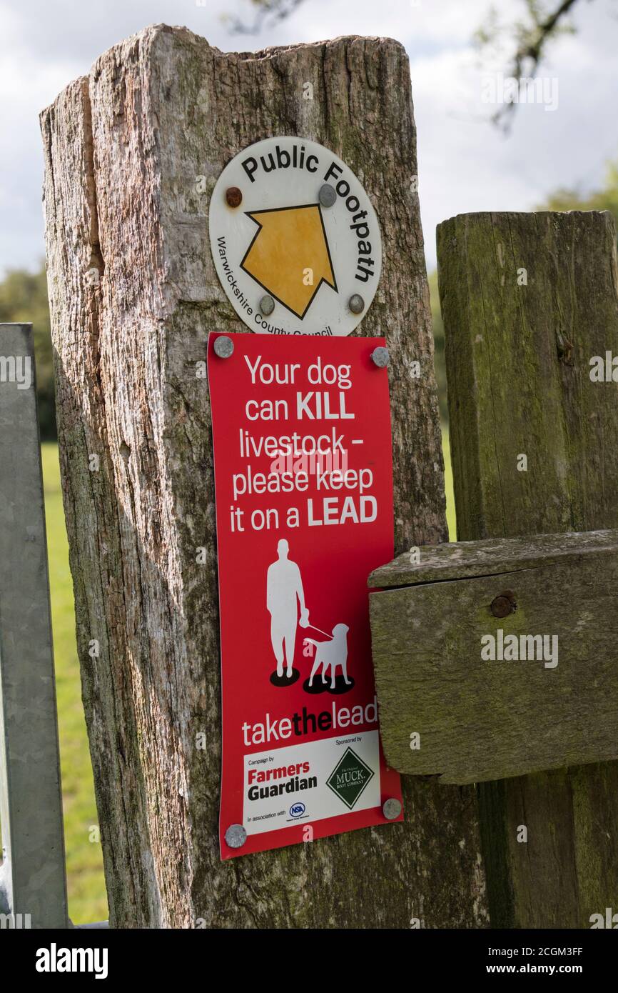Segnali su un sentiero pubblico che avvertono i cani che inseguono le pecore, Inghilterra, Regno Unito Foto Stock