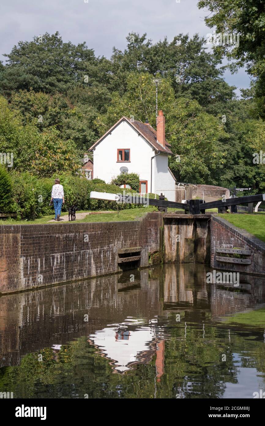 Stratford upon Avon Canal a Kingwood Junction, Lapworth, Warwickshire, Inghilterra, Regno Unito Foto Stock