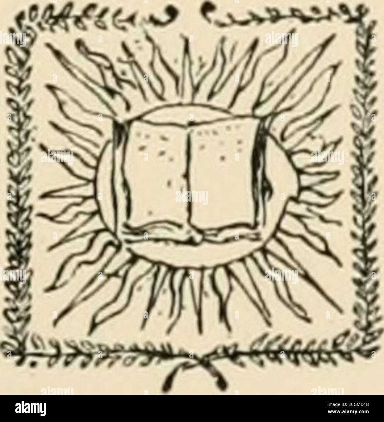 . Abraham Lincoln; una storia . ^ * r&gt; &gt;■ &gt; * &gt; &gt; * * &gt; &gt;»J. NEW YORKTHE CENTURY CO. 1890 Copyright, 1886 e 1890, di John G. Nicolay e John Hay. FIGURE Vol. Ill frontespizio di Abraham Lincoln da un photografi in possesso di F. W. Ballard, fromwhich è stato inciso il ritratto del presidente Lincoln per il theorigrinal dieci-dollaro greenback, e più successivamente per una delle emissioni dei 5-20 bond. PAGINA Facsimile di Charleston Mercury Extra 14 Robert C. Winthrop 16 da una fotografia di Brady. James M. Mason 32 da una fotografia. Il generale John G. Foster 48 da una fotografia b Foto Stock