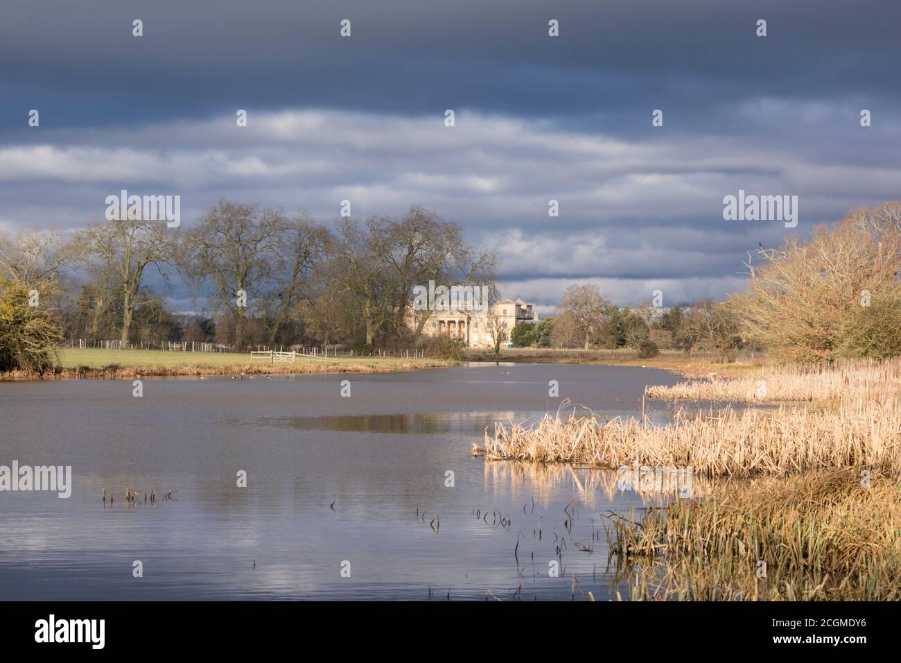 Nel periodo invernale a Croome Park, Croome Court, Worcestershire, Inghilterra, Regno Unito Foto Stock