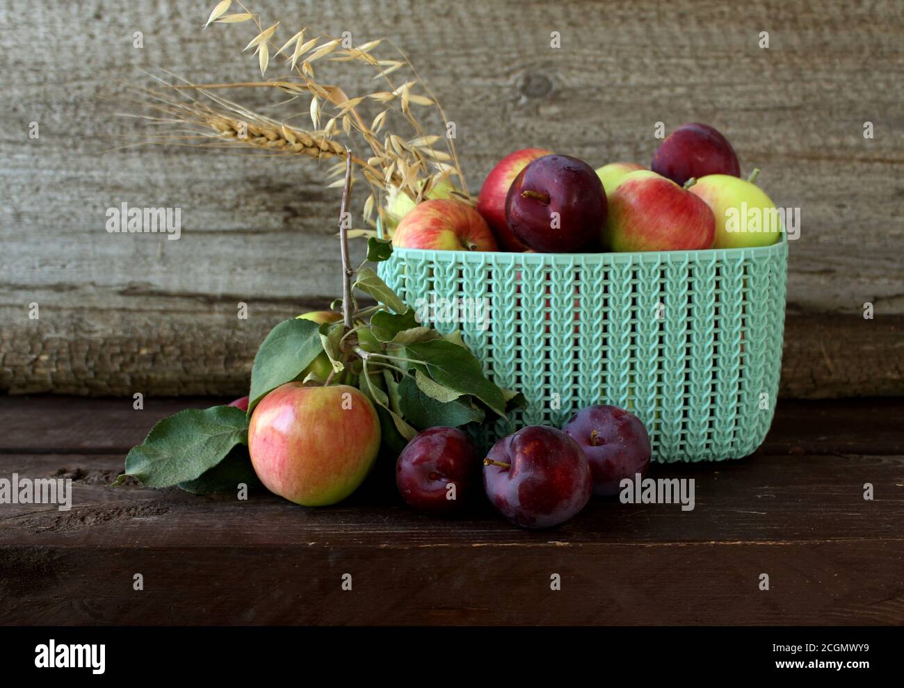 Autunno ancora vita. Mele mature e prugne, segale, spighe di grano e avena. Foto Stock