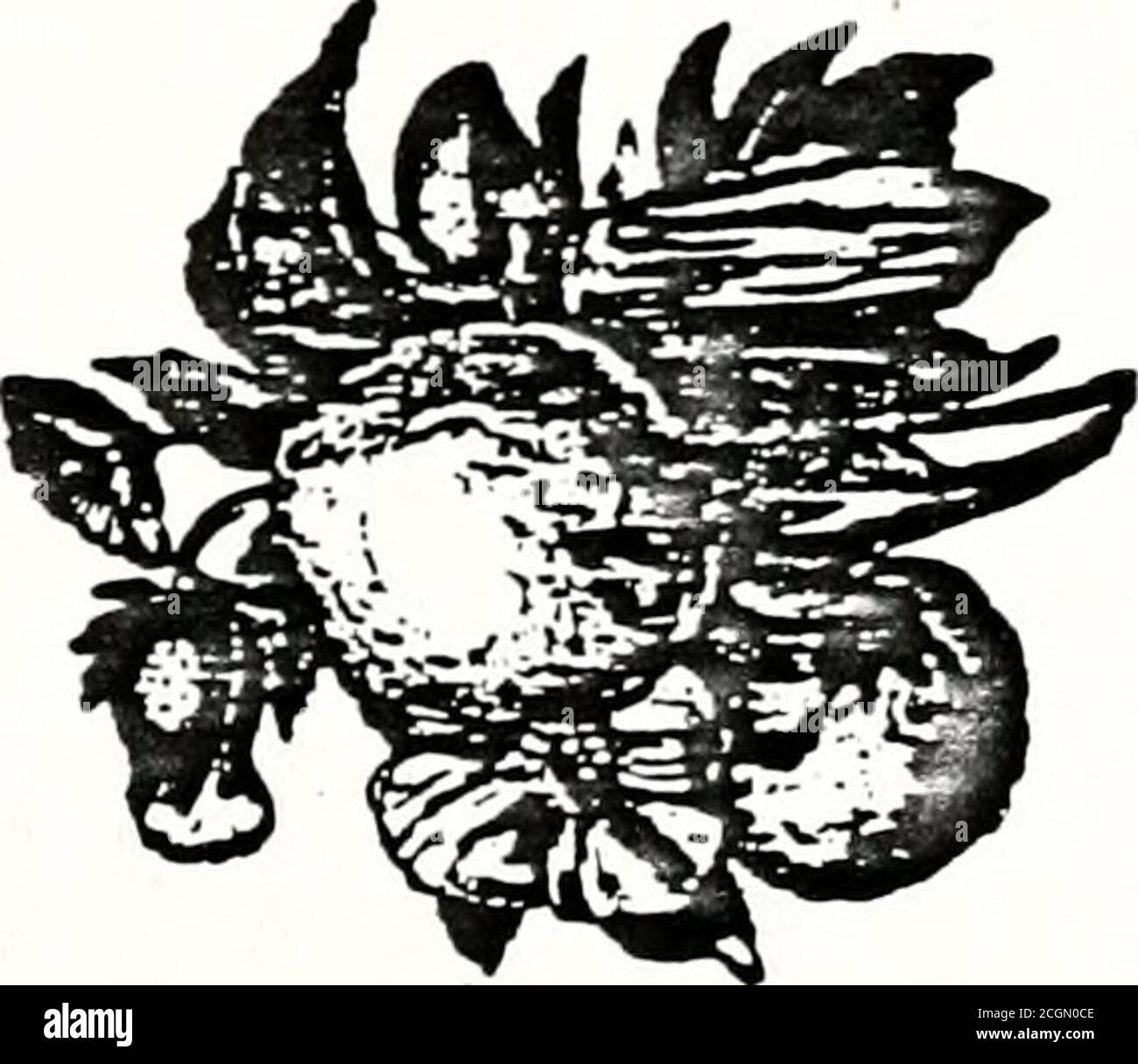 . Alcuni eventi e incidenti durante la guerra civile . * +■ &gt; ©z 5 3 a CO H Z ea a 5 QZ hri &gt;• 00 &gt; V ■! C hi o • M .2 =» o .C C g *C OIH*- J2 i- &gt;» – i on •* •*» © „, js a) a, is § MS S « CD JJ C ft a&gt; 5 § | VT *» 53 * £ a-g   o a) o °»a&gt; Fat .2 *» &gt; be o ee c °° «w OS *M S SJ Q * ^g s; C -o *» -o -S ,   k, gu j. es IT .S 0J OS c8 5 - € © S ft JS JB o «H 00 - © 5 u o d.o  © © .eg«5s^ 2*-a g» 2 S 53 es - £ p..* 5 8 * OS *£ 2 o ns OS 2 S 2 c oo ±: * !&gt;* c © Sr o oo5 & S. v ft ■*™-am-B™»a-tw 1 H^irffiTil-ifiimWHiTWftrw-ir- r IFI &gt; s O2 5a 00 H2Ed o 2 GO; H2 &lt Foto Stock