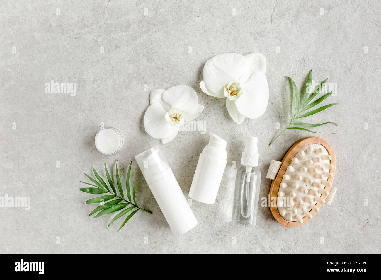 Olio essenziale, estratto vegetale, siero, foglie di palma tropiche su sfondo di marmo grigio. Concetto di spa per la cura della pelle. Prodotti cosmetici naturali biologici. Foto Stock