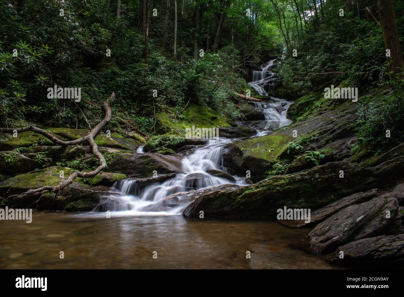 Roaring Fork Falls in estate. Foto Stock