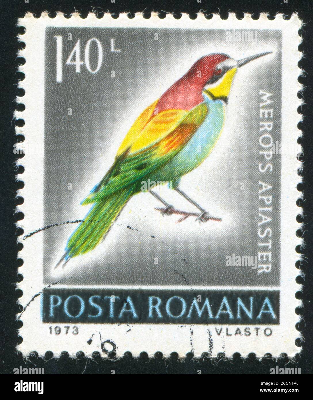 ROMANIA - CIRCA 1973: Francobollo stampato dalla Romania, spettacolo uccello, circa 1973. Foto Stock