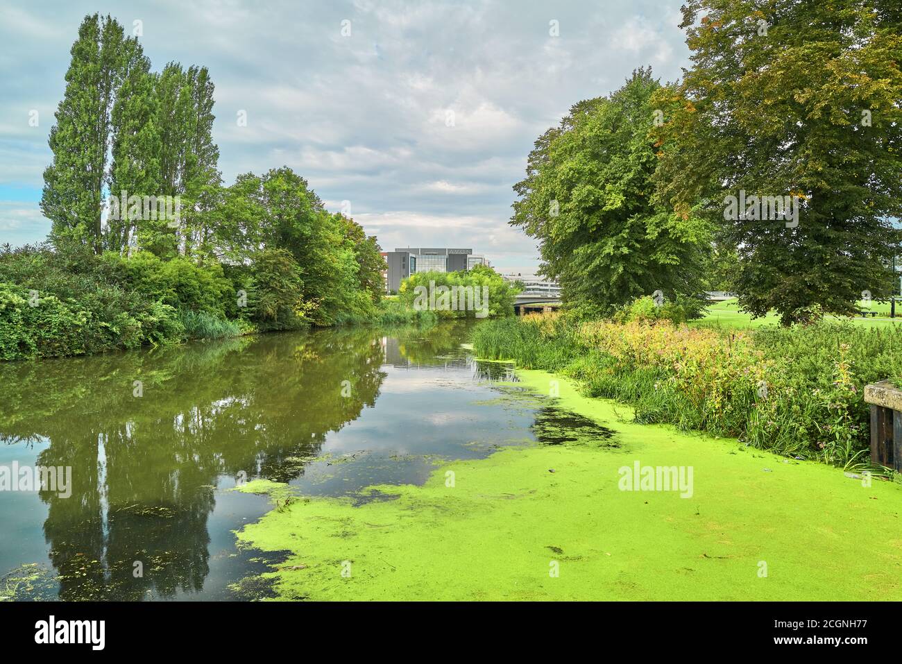 Un tranquillo fiume Nene lungo Midsummer Meadow a Northampton, Inghilterra. Foto Stock