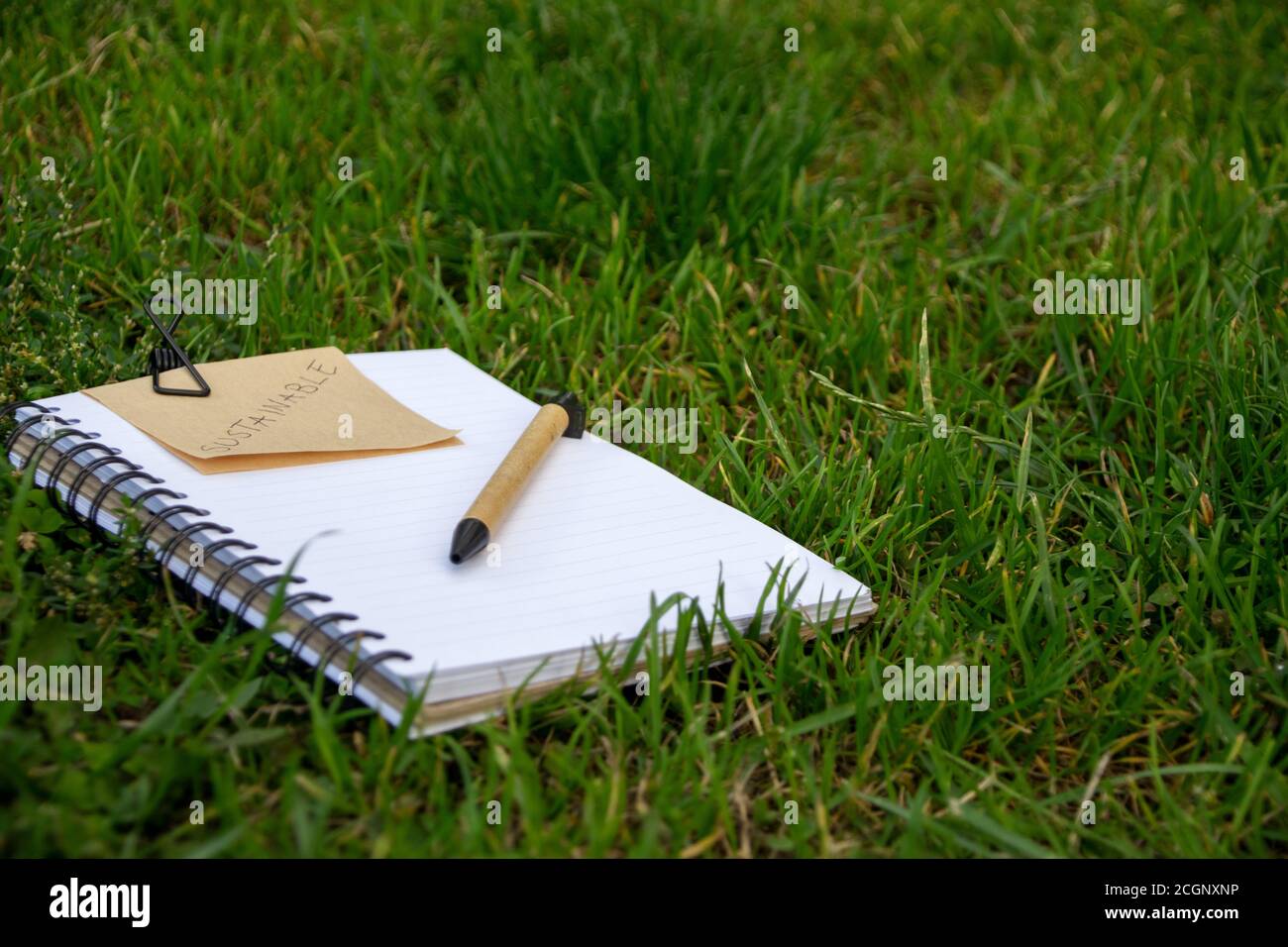 Concetto di sostenibilità con notebook e penna in materiali riciclabili e una nota con la parola Sustainable scritta su di esso. Prenota sull'erba Foto Stock