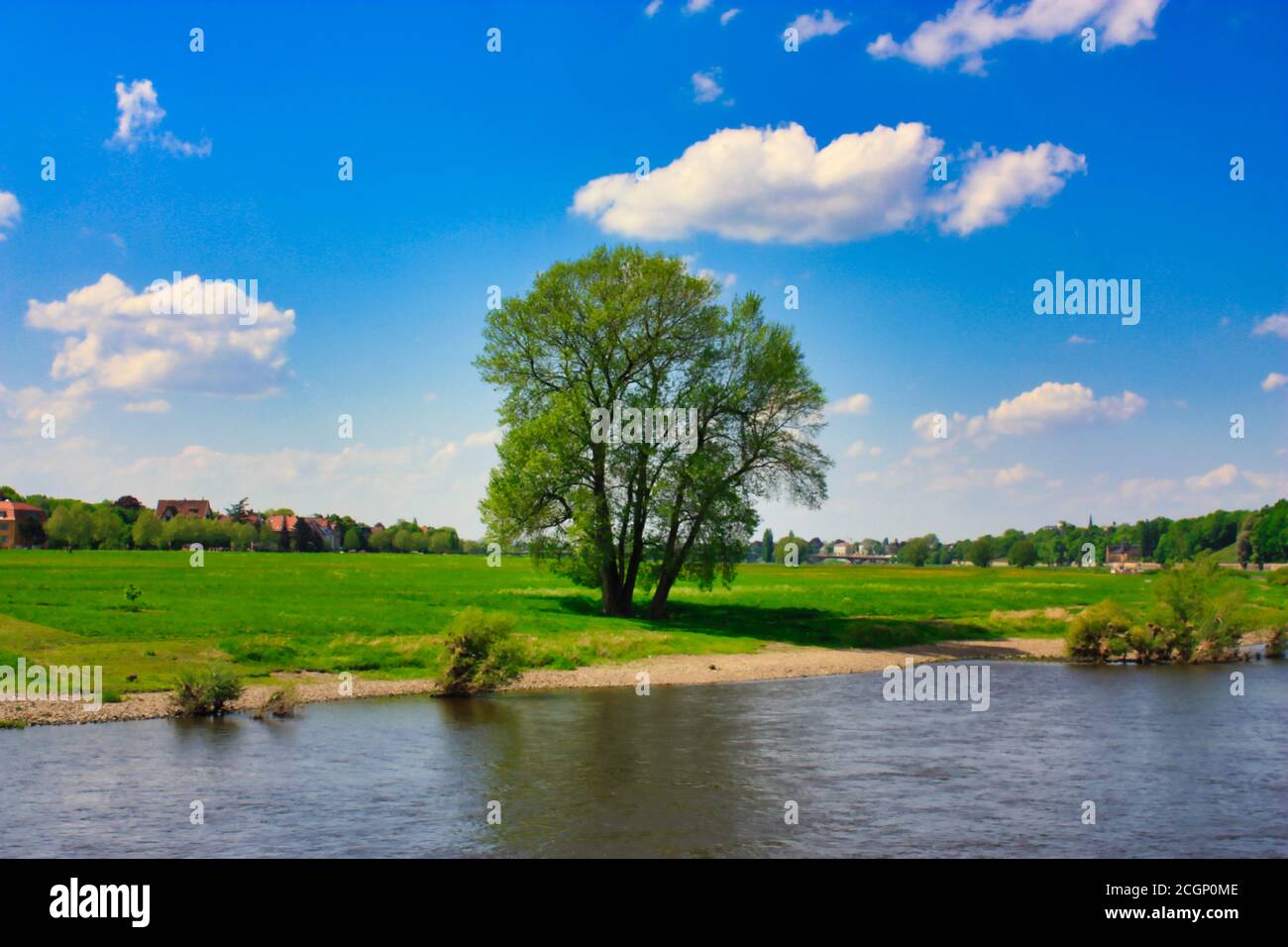 vista dal fiume elba all'elbauen di dresda Foto Stock