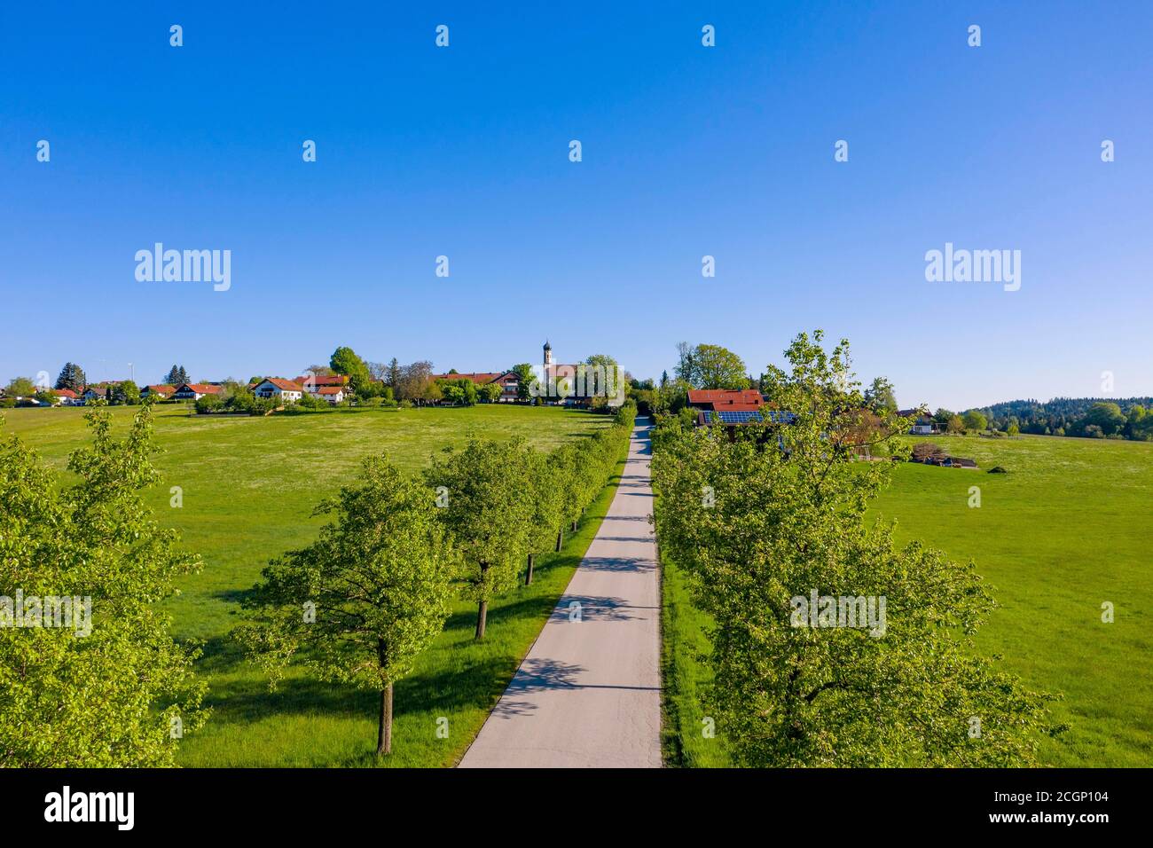 Villaggio Berg bei Eurasburg, Pear Tree-Allee, Toelzer-Land, Alpe Foreland, alta Baviera, Baviera, Germania Foto Stock