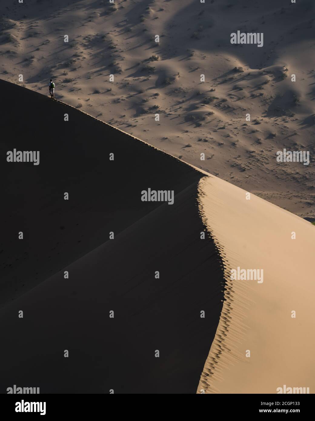 Un solitario vagabondatore nel deserto di Gobi, Dunhuang, Cina, Asia Foto Stock