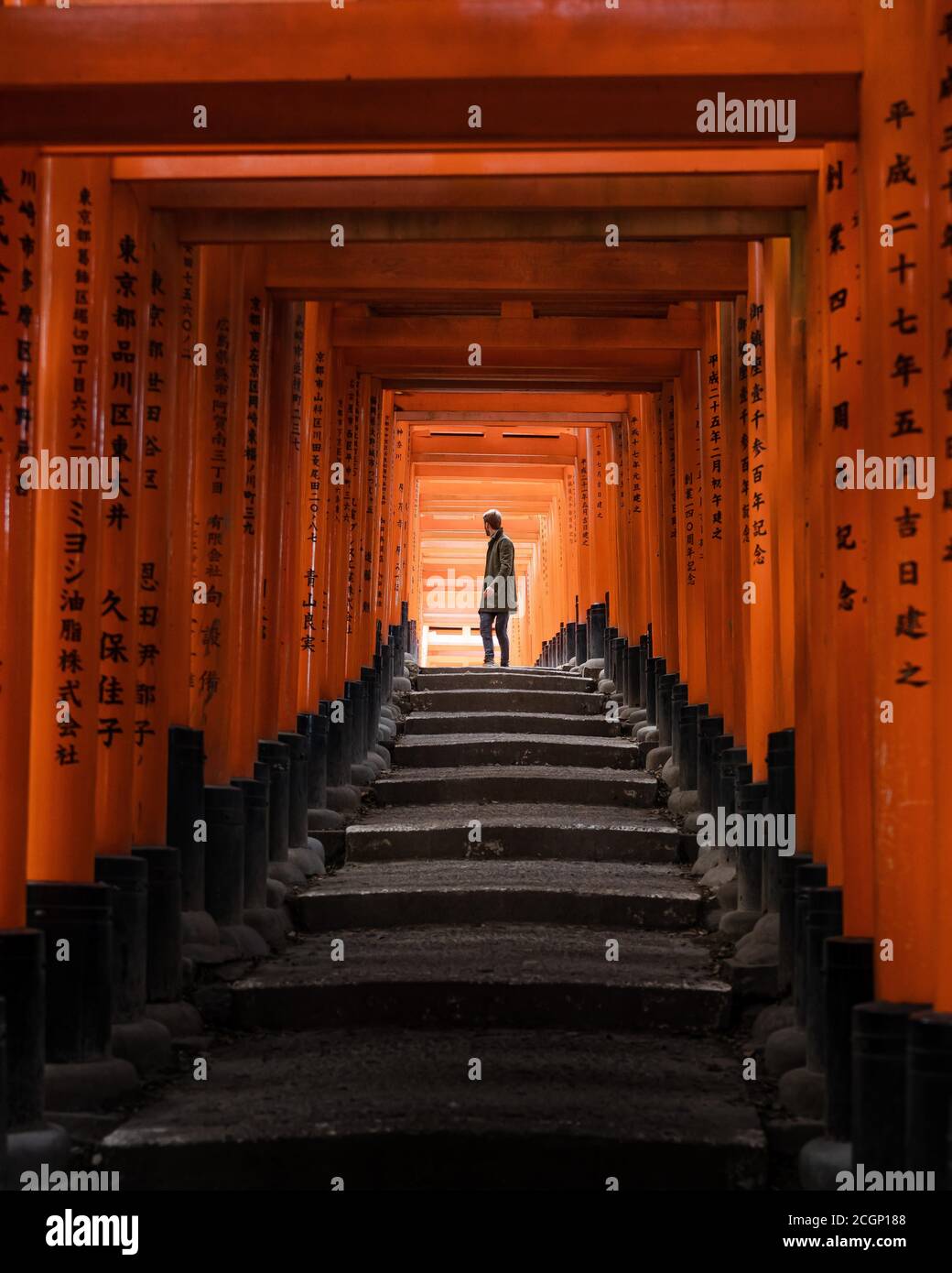 Santuario di Fushimi Inari Taisha con persona, Kyoto, Giappone Foto Stock