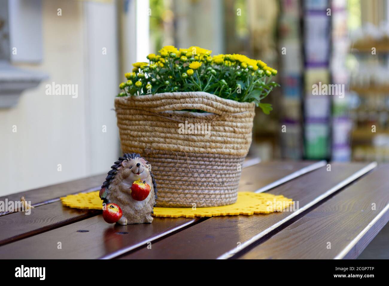 Riccio con 2 mele prima di una pianta Foto Stock