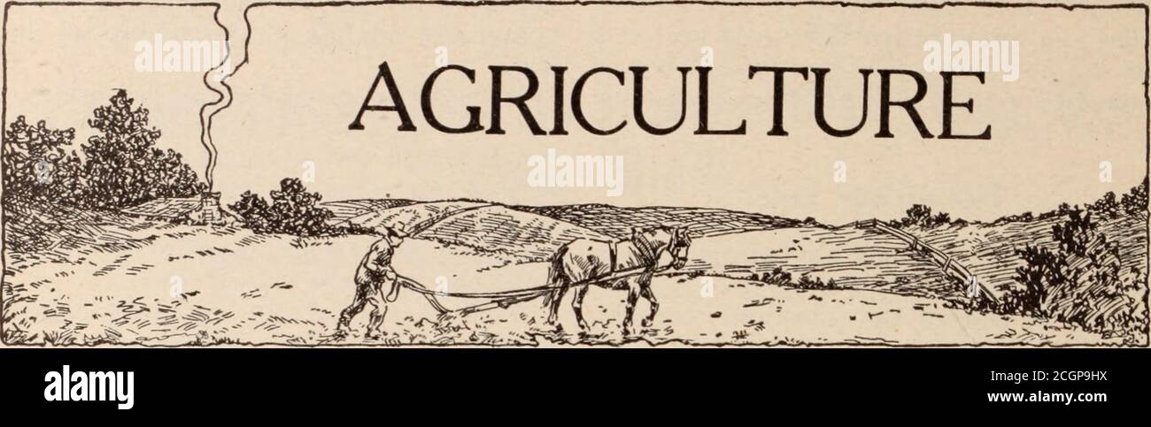 . Rivista dei dipendenti di Baltimora e Ohio . UN ATTRAENTE TAVOLO PATRIOTTICO DECORAZIONE. (Per la descrizione, vedere pagina 50). A Home Garden l'uomo Frisco, la magnzine dipendente della St. Louis e San Francisco Railway Company, ha gestito questo articolo sul giardino di casa nel suo numero di marzo, e wc stanno ristampando con theircourtesy. L'alto costo di vita è motivo sufficiente per il nostro fare questo e wc speranza che il yardsof posteriore delle case di?nany dei nostri impiegati sarà trasformato in giardini graziosi e redditizi a causa di it.IT ivill essere notato che la piantatura dei primi semi è raccomandata per 1 aprile Foto Stock