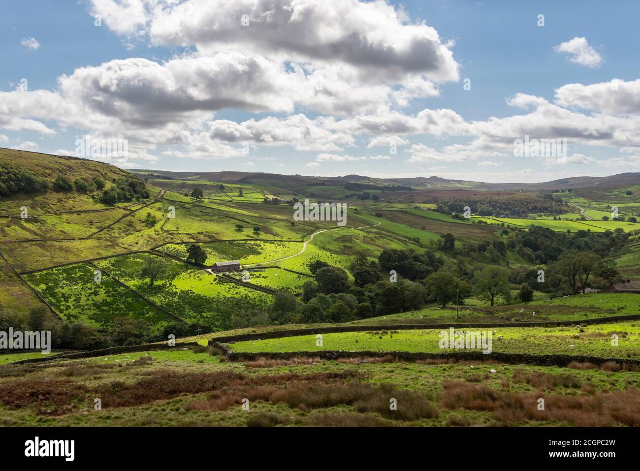Campagna vicino a Three Shires Head, Ax Edge Moor, Peak District, Inghilterra. Foto Stock
