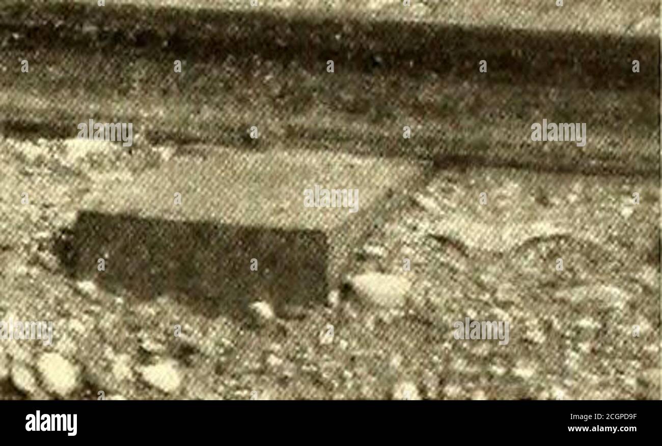 . Il giornale ferroviario di strada . COLLEGAMENTO A MASSA DELLA GUIDA DEL CINGOLO PRESSO LA SOCIETÀ DI RISCALDAMENTO DEL POWER HOUSE. Ogni auto è dotata di fischio, gong, un numero insolito di luci incandescenti, e estintori. Le auto per bagagli misurano 44 piedi 3 in. su buffer, 8 ft.4 in. sulle gronde, e l'altezza estrema per il gioco sonato castagno, 40 ft. di lunghezza, tranne dove l'alta tensione linecroses la ferrovia a vapore e linee telefoniche, o in città passanti, dove pali 50 ft. e anche 60 ft. di lunghezza sono stati installati. Le braccia incrociate sono di pino giallo. Questo Foto Stock