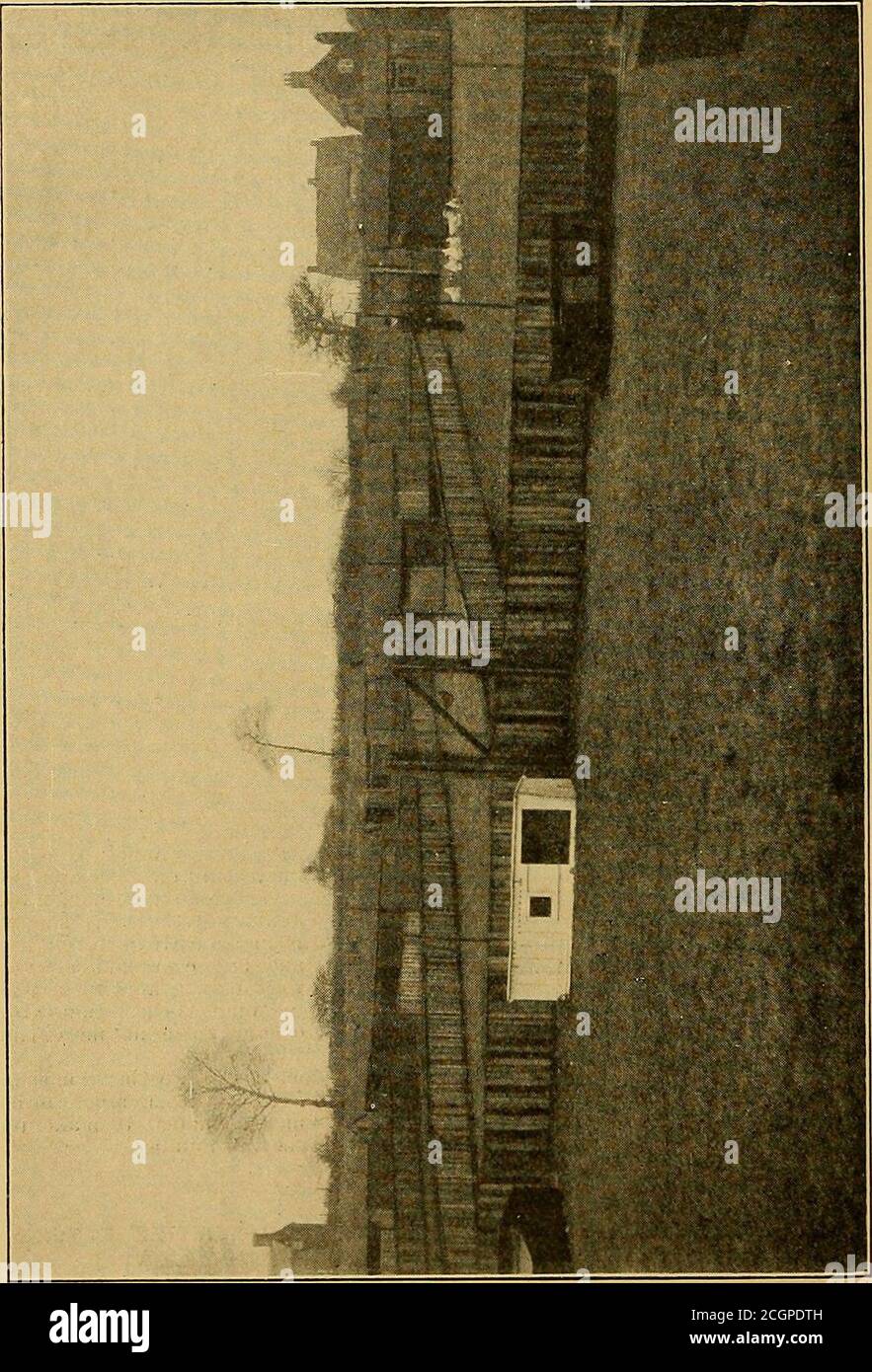 . Il manuale del pollame. Una guida completa per l'allevatore e l'espositore . alimas, Cochins,^ se si desidera che le ejigs inizino i Dorking e altri V 3 a 4 liens C to 7 inculiating il 11 dicembre le razze di Lieavy J per ottenere pulcini per Leghorns, Minorcas^e altri Vhreeds leggeri J gennaio 1 le penne dovrebbero da 5 a 6 galline 8 a 10 essere accoppiate all'inizio di novembre, e qualsiasi uova posate dopo una settimana forse tenuto per schiusa sotto galline. Le uova dell'incubatore sono migliori non più di 10 giorni vecchi quando il tempo geniale viene in febbraio altri uccelli di riserva possono essere aggiunti per costituire il numero completo la massa dei pulcini migliori dell'h Foto Stock