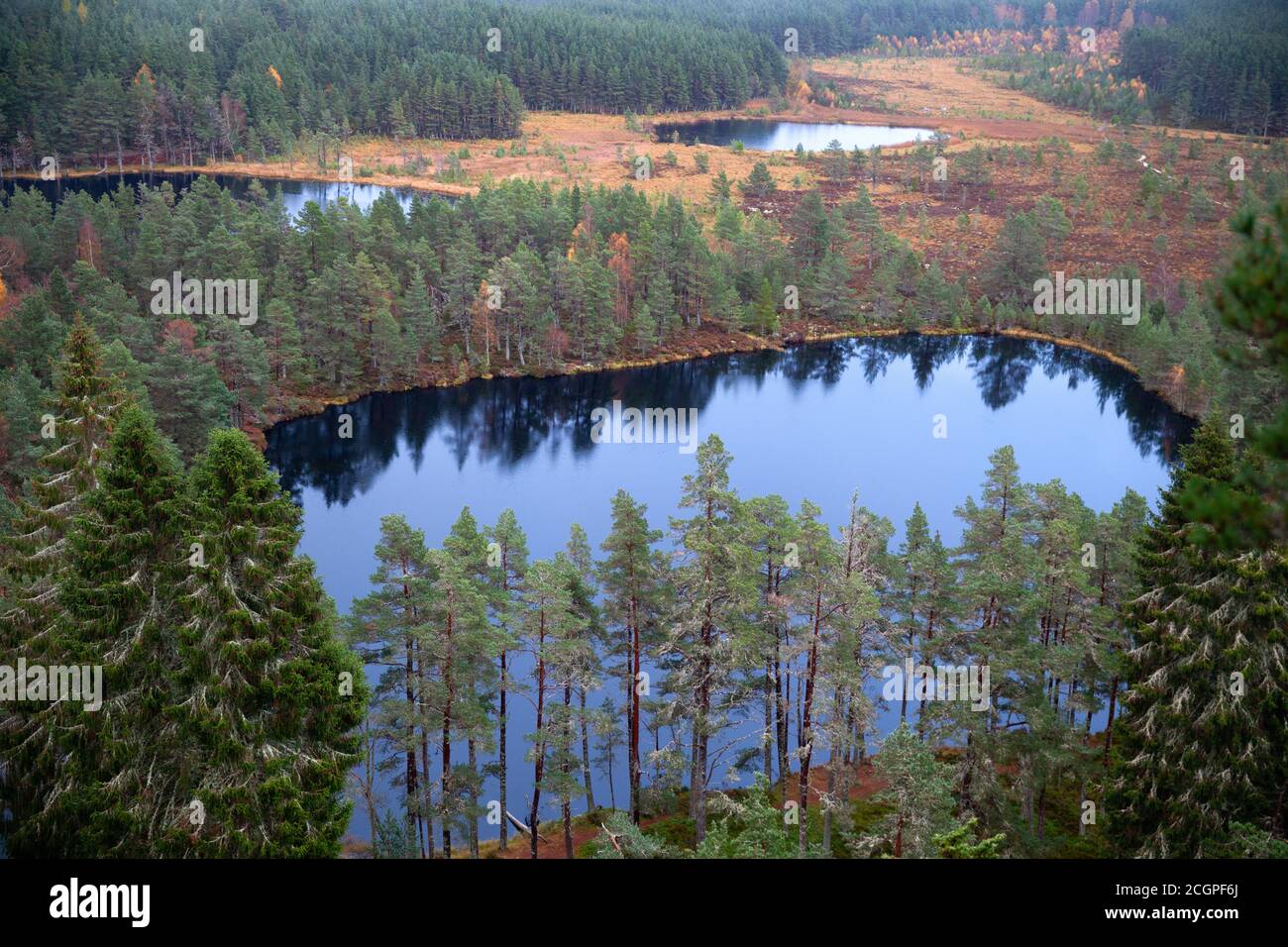 Cairngorms National Park: Uath Lochan in autunno, Kincraig, Scozia, Regno Unito Foto Stock